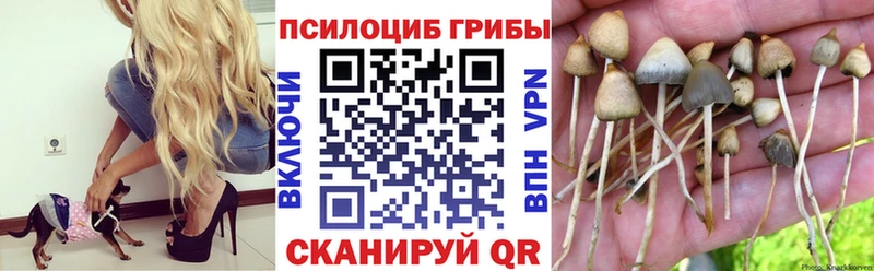 Псилоцибиновые грибы Psilocybine cubensis  блэк спрут маркетплейс  Учалы 