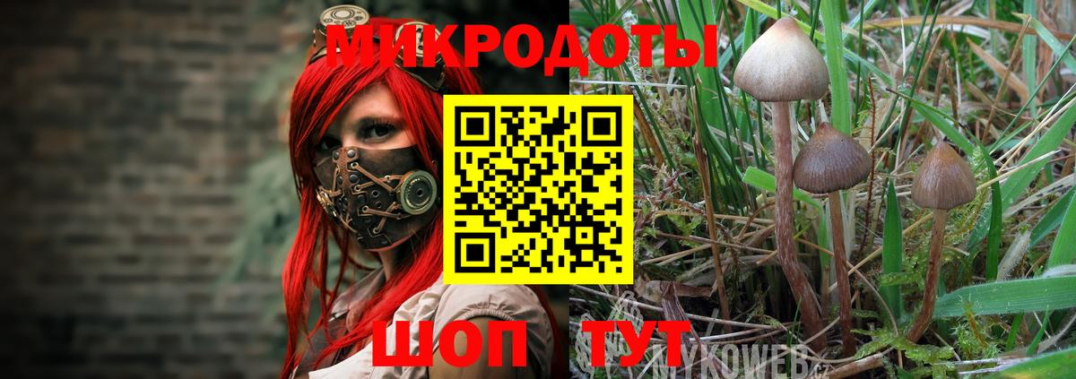 Псилоцибиновые грибы ЛСД  Вход с VPN  Галлюциногенные грибы Cubensis  Учалы 
